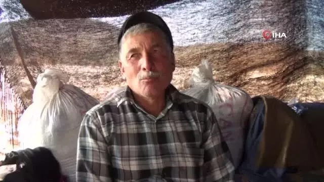 Sarıkeçili yörüklerin bin yıllık göçerlik geleneği