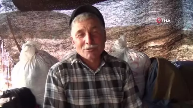 Sarıkeçili yörüklerin bin yıllık göçerlik geleneği