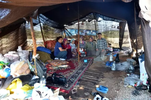 Sarıkeçili yörüklerin bin yıllık göçerlik geleneği