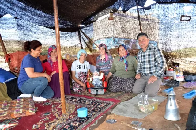 Sarıkeçili yörüklerin bin yıllık göçerlik geleneği
