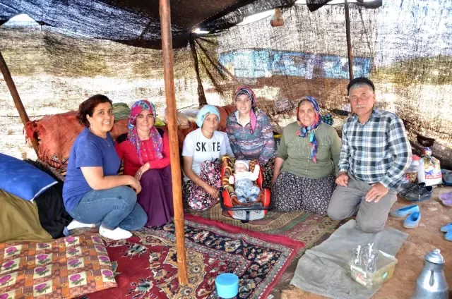 Sarıkeçili yörüklerin bin yıllık göçerlik geleneği