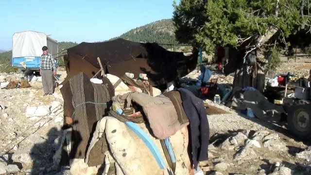 Sarıkeçili yörüklerin bin yıllık göçerlik geleneği