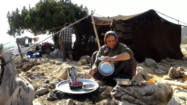Sarıkeçili yörüklerin bin yıllık göçerlik geleneği
