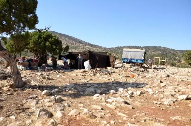 Sarıkeçili yörüklerin bin yıllık göçerlik geleneği