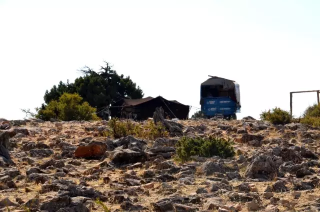 Sarıkeçili yörüklerin bin yıllık göçerlik geleneği