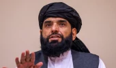 Taliban Sözcüsü Süheyl Şahin'den Haberler.com'a özel açıklamalar! ABD'ye zeytin kolu uzattı