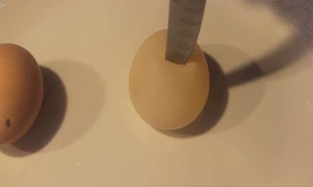 Tavuk kümesine giren adam, diğerlerinden farklı olan yumurtayı görünce şaşkınlığa uğradı