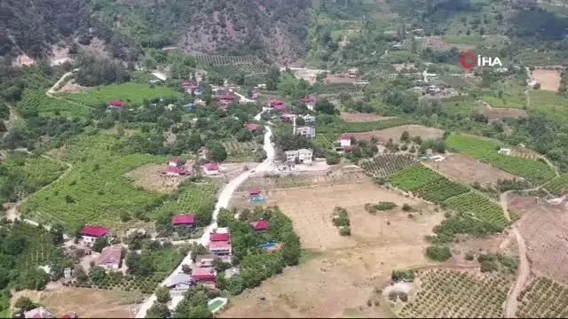 Yufka'nın yapımı kolaylaşıyor, kadınların yüzü gülüyor
