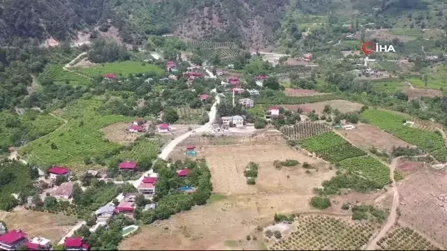 Yufka'nın yapımı kolaylaşıyor, kadınların yüzü gülüyor