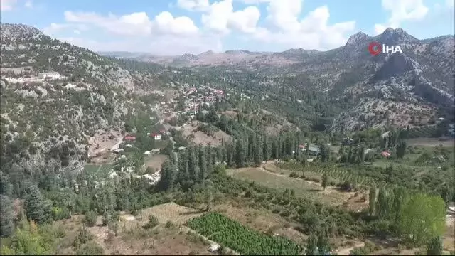 Yufka'nın yapımı kolaylaşıyor, kadınların yüzü gülüyor