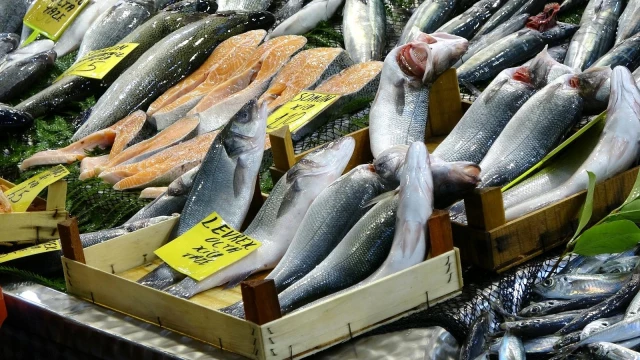 Balık fiyatları düşmek için gün sayıyor