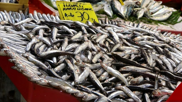 Balık fiyatları düşmek için gün sayıyor