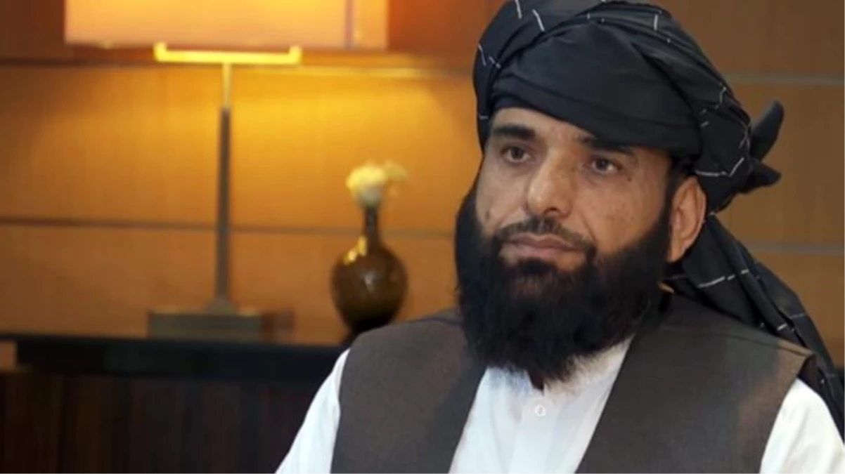Taliban Sözcüsü Süheyl Şahin'den Haberler.com'a özel açıklamalar! ABD'ye zeytin kolu uzattı