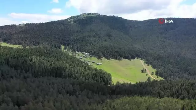 Bozkır'ın yaylaları Karadeniz'i aratmıyor