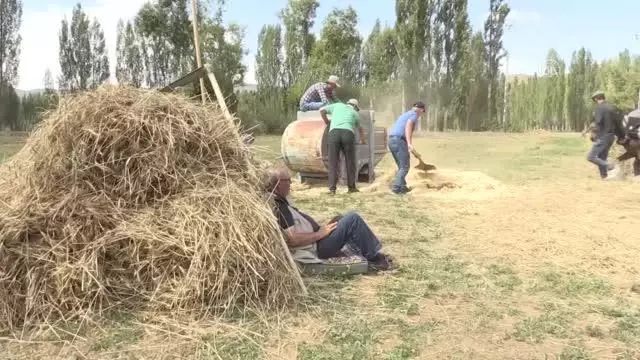 "Harman Festivali"nde 100 yıllık tarım aletleriyle hasat yapıldı