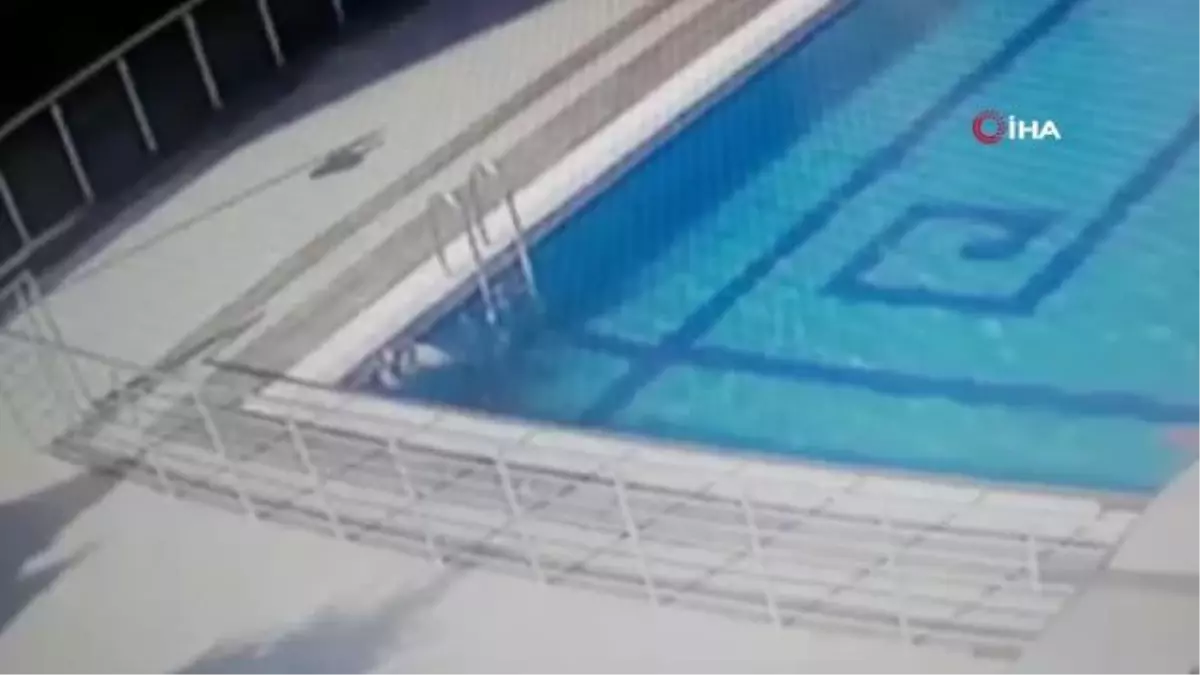 Vatandaş havuzda ölmek üzere olan martıyı böyle kurtardı