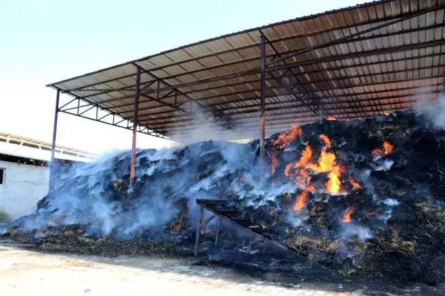 Amasya'da 10 bin balya saman kül oldu