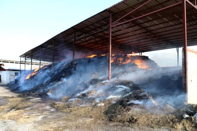 Amasya'da 10 bin balya saman kül oldu