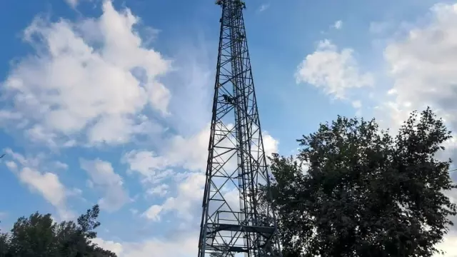 Alkolün etkisiyle çıktığı direkte sızdı
