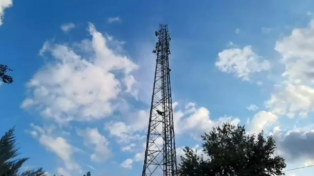 Alkolün etkisiyle çıktığı direkte sızdı