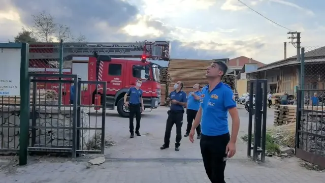 Alkolün etkisiyle çıktığı direkte sızdı