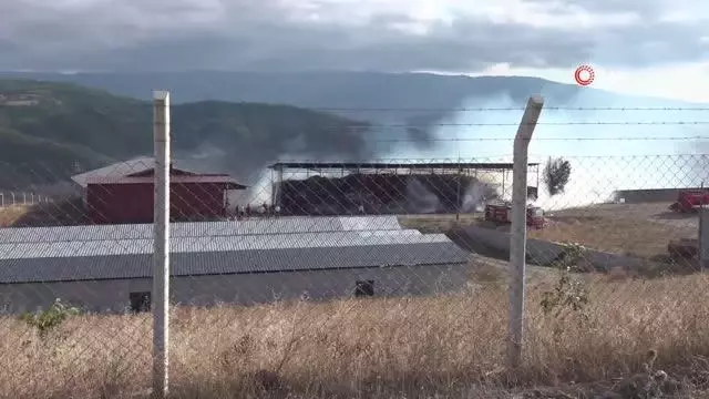 Amasya'da 10 bin balya saman kül oldu