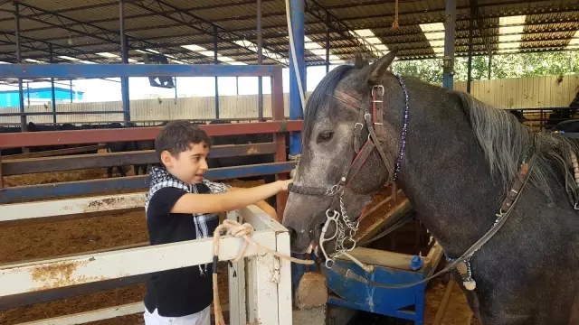 Babasına özendi 7 yaşında at binmeye başladı