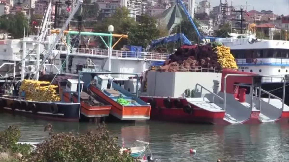Balıkçılar limana binlerce palamutla döndü