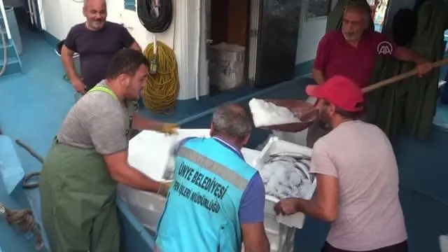 Balıkçılar limana binlerce palamutla döndü