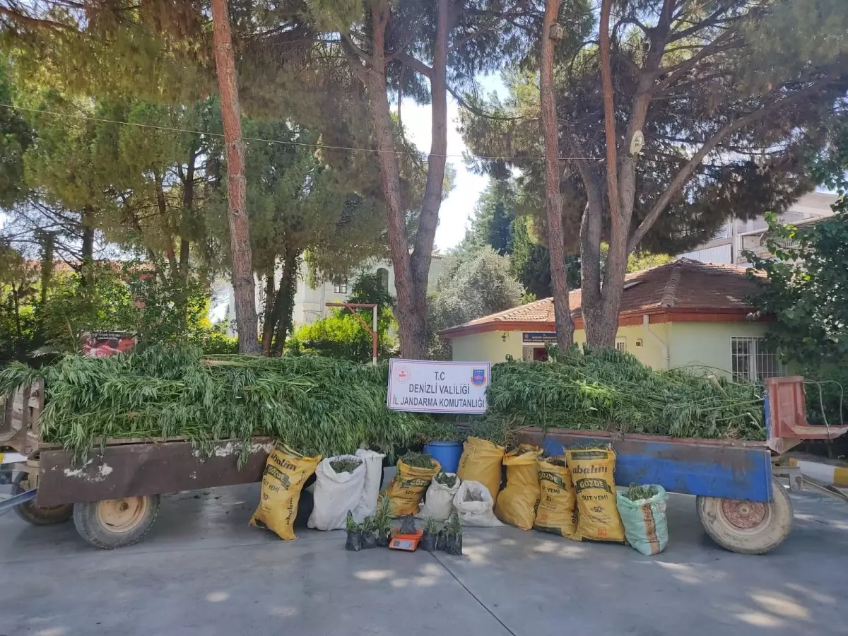 Denizli'de 45 kilo 400 gram esrar ele geçirildi