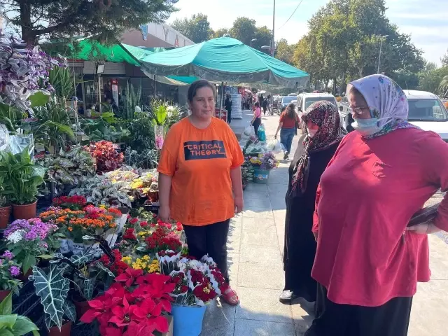 Dünya'nın çiçekleri Yalova'dan gidiyor