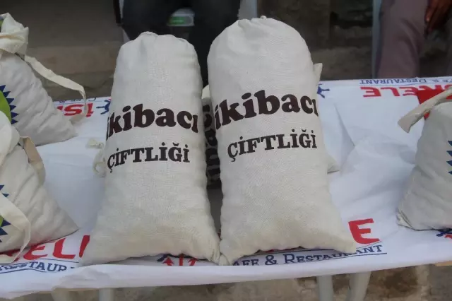 Elazığ'da 'organik badem hasat etkinliği' düzenlendi