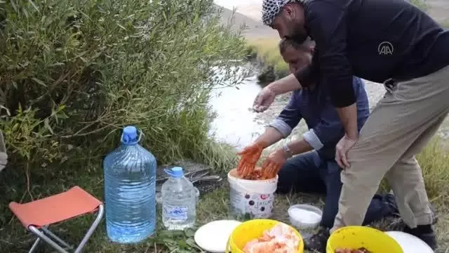 Faraşin Yaylası kavuştuğu huzurla kamp kuran doğaseverleri ağırlıyor