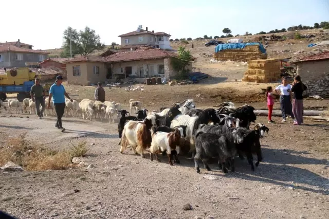 Haberleşmek için 3 yıldır tepelere çıkıyorlar