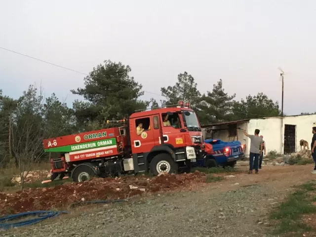 Orman yangını havadan ve karadan müdahaleyle kontrol altına alındı
