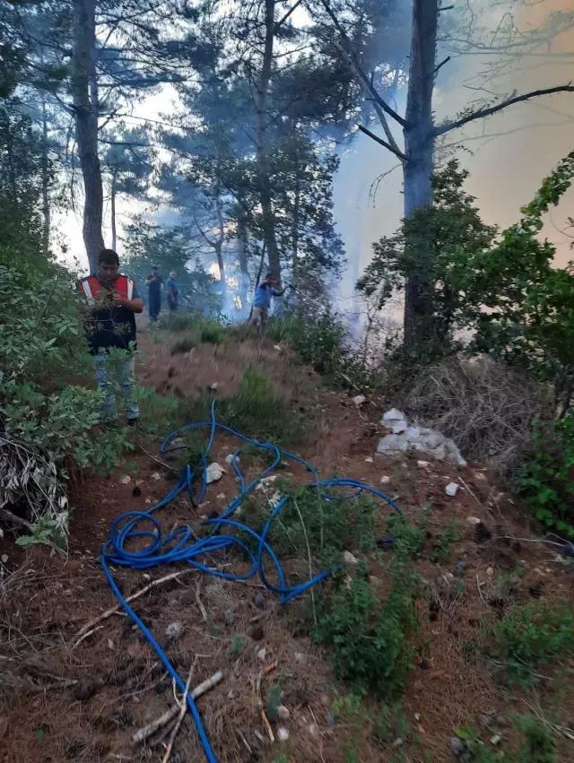 Orman yangını havadan ve karadan müdahaleyle kontrol altına alındı