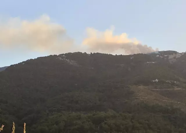Orman yangını havadan ve karadan müdahaleyle kontrol altına alındı