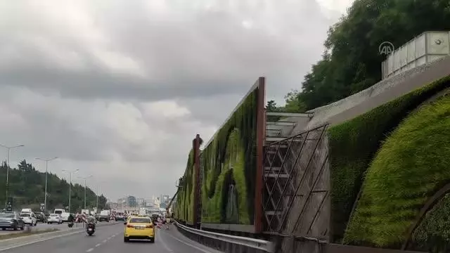İBB'nin dikey bahçe sökümleri devam ediyor