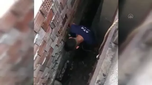 Son dakika haber: İki evin arasındaki boşluğa düşen kedi yavrusunu itfaiye ekipleri kurtardı