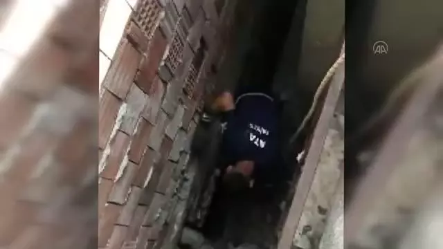 Son dakika haber: İki evin arasındaki boşluğa düşen kedi yavrusunu itfaiye ekipleri kurtardı