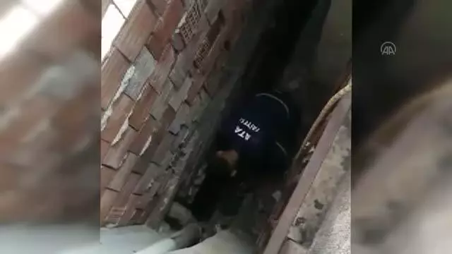 Son dakika haber: İki evin arasındaki boşluğa düşen kedi yavrusunu itfaiye ekipleri kurtardı