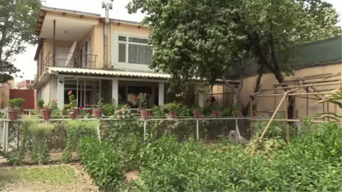 Kabil'de yaşayan Türk kadın müteşebbis Afganistan'dan umutlu