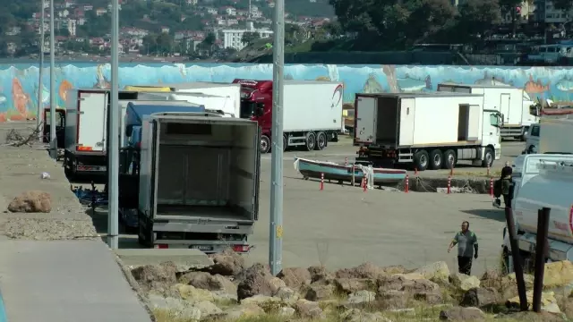 Karadeniz'de palamut ve hamsi bolluğu