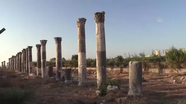Kazılarda, gök bilimci ve şair Aratos'un anıt mezarı arkeolojik olarak kanıtlandı