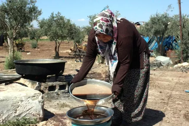 Kilis'te gün pekmezi üretimi başladı