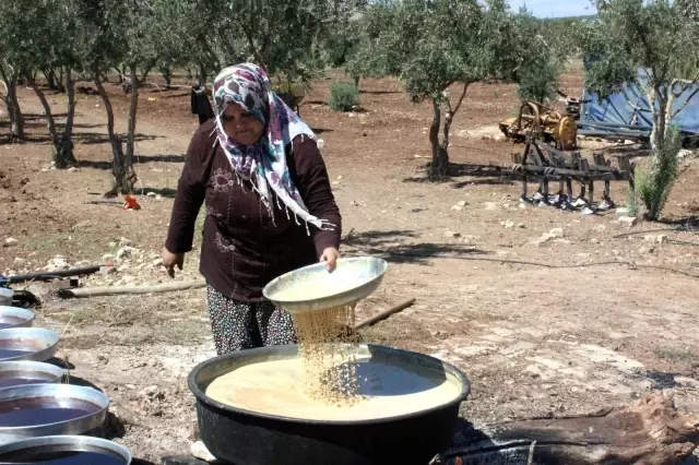Kilis'te gün pekmezi üretimi başladı