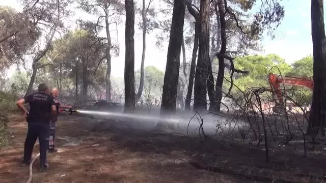 Manavgat'ta çıkan orman yangını havadan ve karadan müdahaleyle kontrol altına alındı