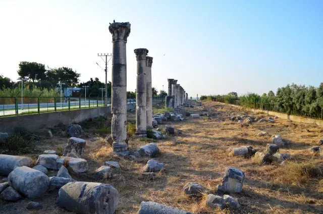 Kazılarda, gök bilimci ve şair Aratos'un anıt mezarı arkeolojik olarak kanıtlandı