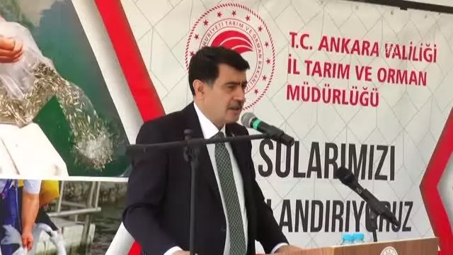 Son dakika haberi... Mogan Gölü'ne 100 bin sazan yavrusu bırakıldı