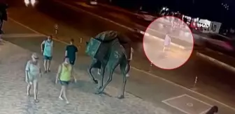 Evrenseki: Motosikletin çarptığı Alman karı koca metrelerce savruldu...Feci kaza kamerada Evrenseki: Motosikletin çarptığı Alman karı koca metrelerce savruldu...Feci kaza kamerada